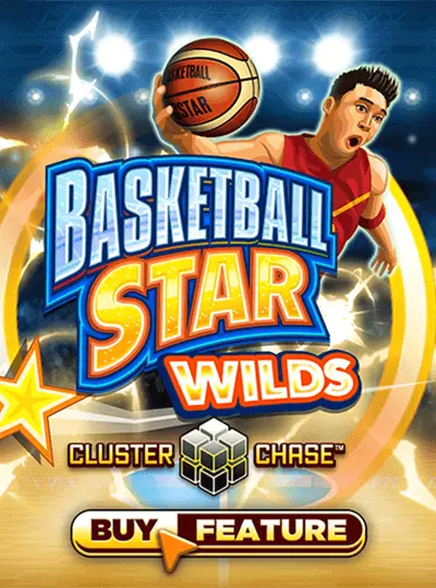 বাস্কেটবল স্টার ওয়াইল্ডস